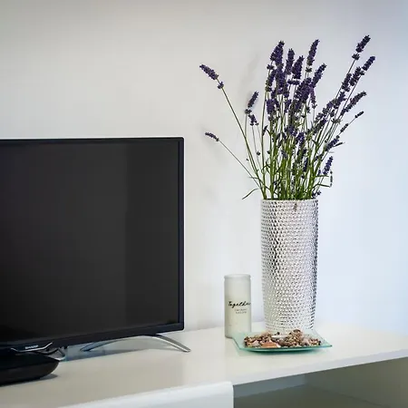 Apartment Rosa *